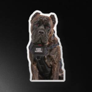 Barkera's - Custom-Shaped Pillow