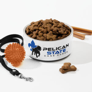 Pelican State Cane Corso Dog Bowl