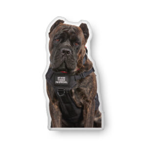 Wade Wilson Bad Ass Pillow